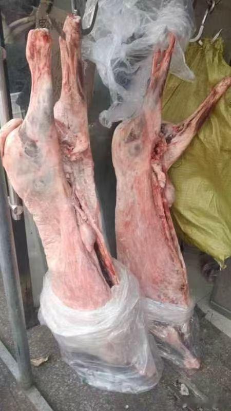 烤全羊怎么会有粪便呢？正常的羊都是处理好的……没有毛，也没有内脏的，怎么会有粪便