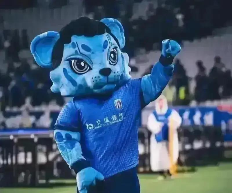 600万干完别人2000万的活申花冬窗像超市扫货，路易斯体检完直接开练，一