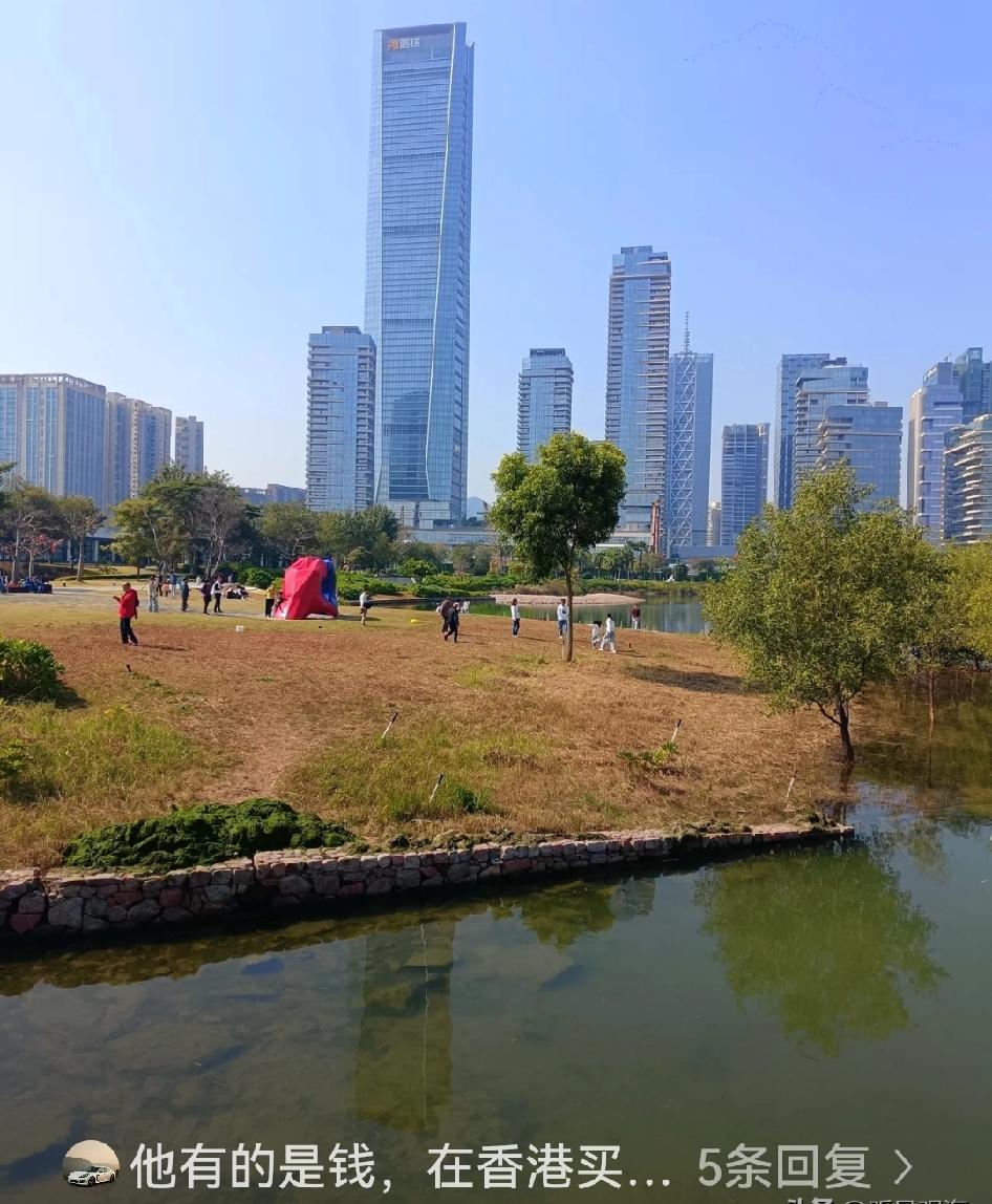连开发出深圳顶级豪宅深圳湾一号的老板都没钱了。徐航，深圳迈瑞医疗的联合创始人