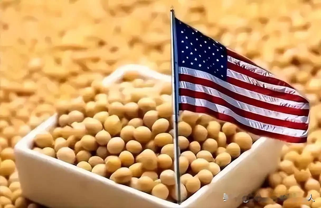 特朗普的农业州正在“窒息”！2024年对华出口近零，8900万吨大豆积压，22%