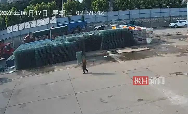 69岁的李婆婆，在武汉白沙洲一家水产店附近的露天仓库里，连续16天作案，共偷了4