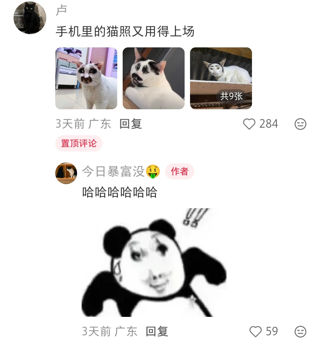 不丑哎，超可爱​​​