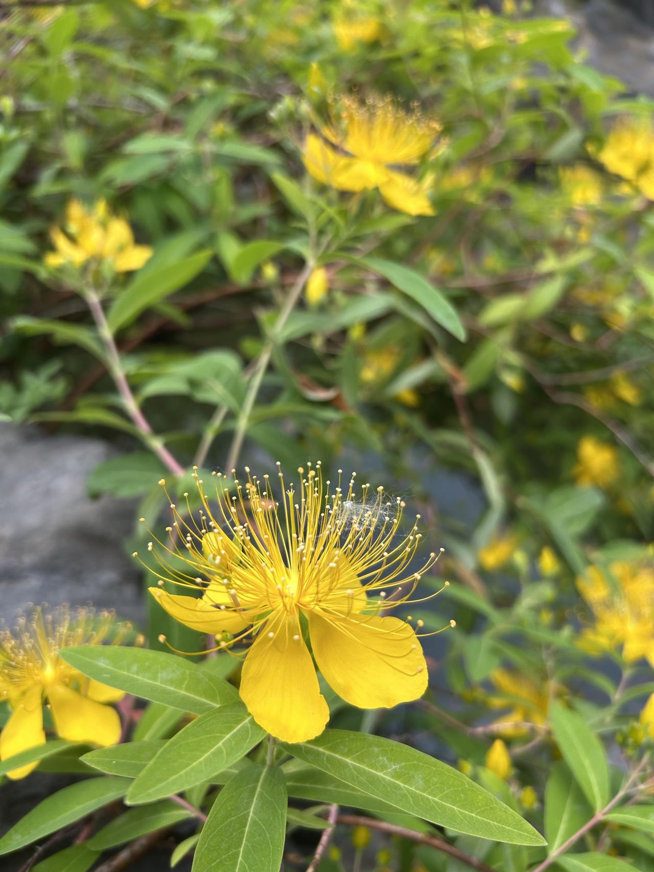 这两年家里最大的开销，就是给留学的孩子交学费。身边有人说“花这么多钱不值”，我