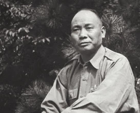 1954年汤恩伯赴日手术，上了麻药似无效，汤哀嚎不止，力竭而亡，时人疯传，日本医