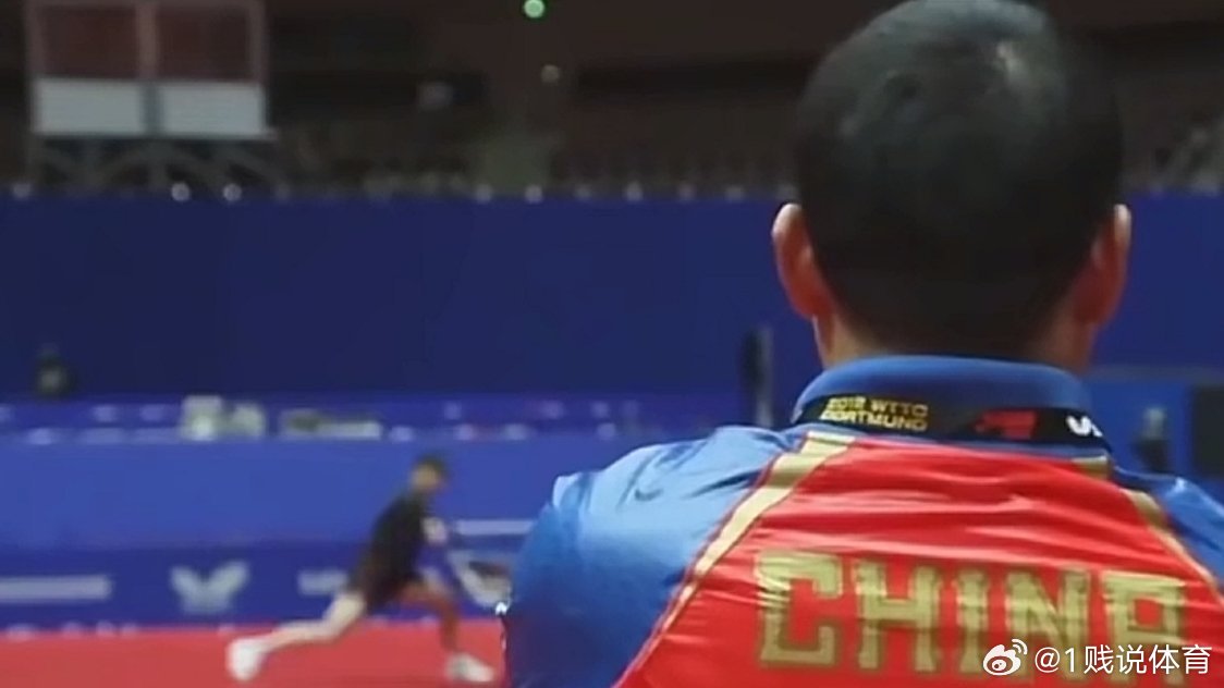 王励勤终于懂了，没有对比就没有伤害。重庆冠军赛的情况再次印证了一个显而易见的真理