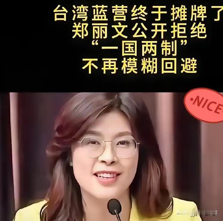 郑丽文一句话，蓝营内部直接炸锅了。郑丽文对着镜头说“我们不要香港那一套”。刚