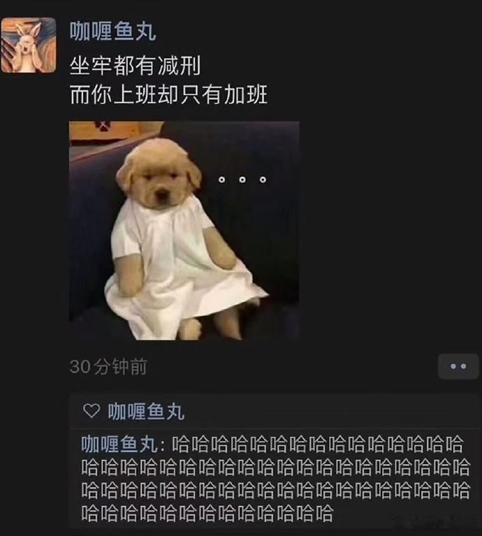 哈哈哈哈哈哈哈哈哈哈哈哈我真的生气了​​​​​​