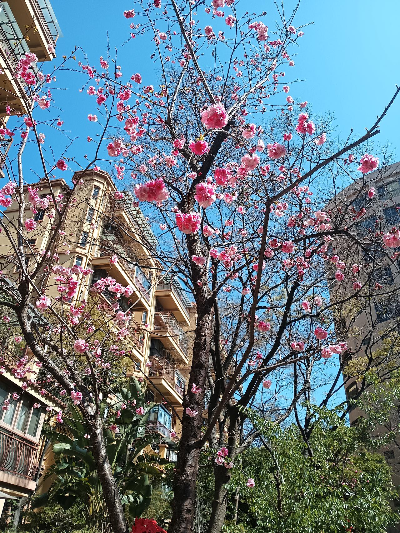 周末重磅消息，下周走势前瞻！周末重磅消息如下：一、据媒体报道，证监会发布《私