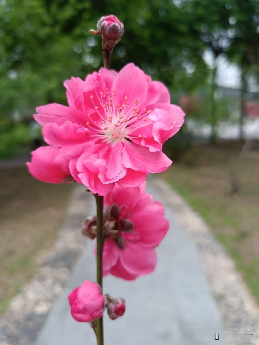 男人一定不要做接盘侠，当接盘侠要慎重！一女子36岁，和现在老公结婚12年。她2