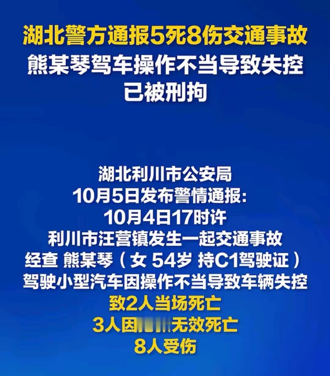 54岁刚没工作没退休金，还闹出这么大的事——撞没了5条命，连休产假的女辅警都没躲
