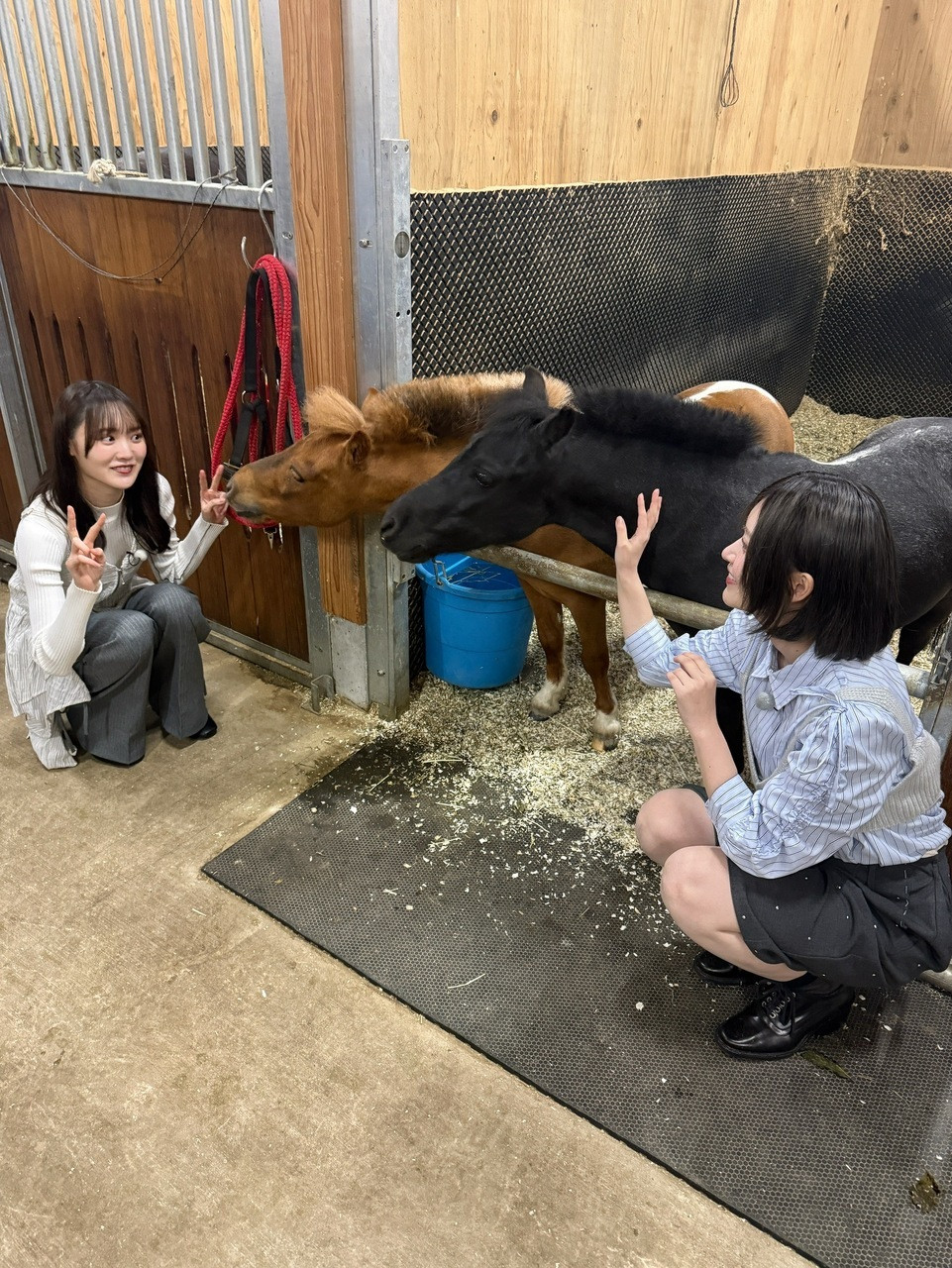 あきほ🐟「積み重ねてきたサクラミーツらしさを大切にしながら、新しいことにも挑戦