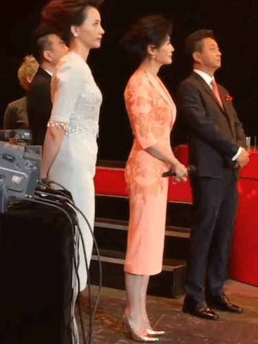 周涛和董卿老师的体态也太好了吧，优雅永不过时！什么是女人的气质和魅力?