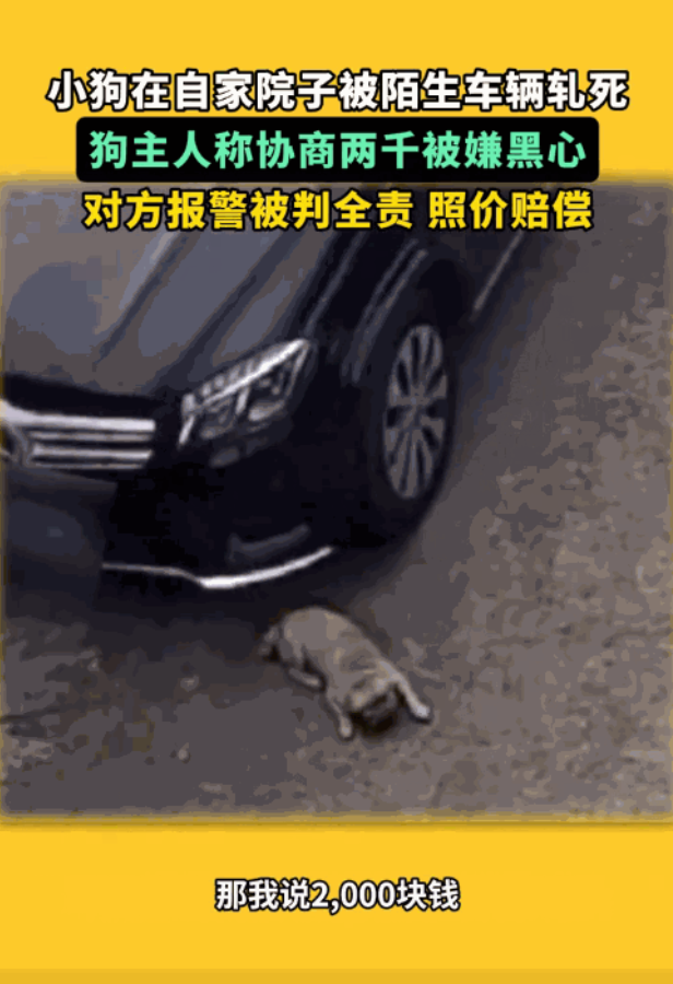 “悲剧还是发生了！”据媒体9月28日的报道，浙江湖州，一司机走错了路，擅自将车开