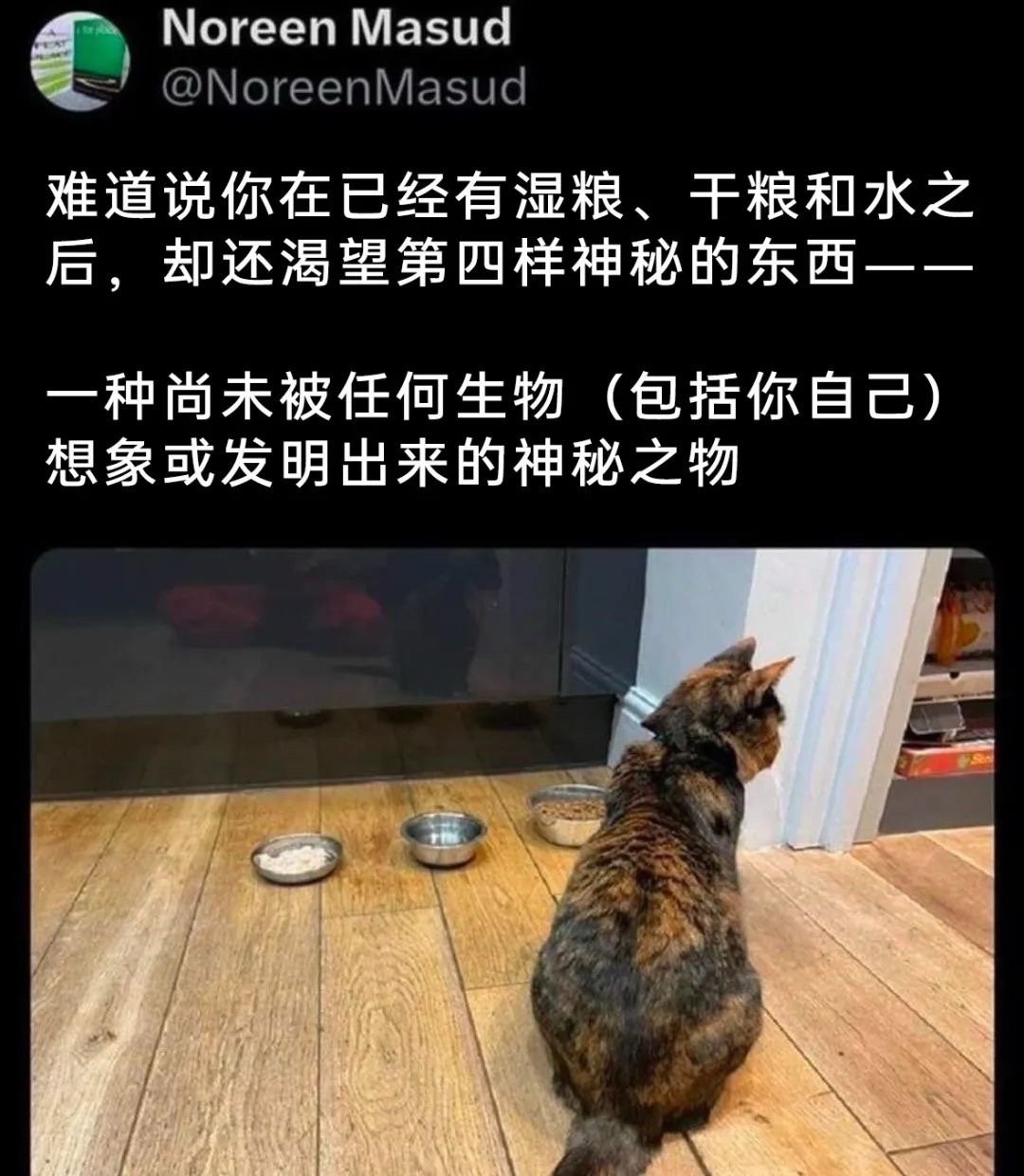 人类…很复杂吧​​​