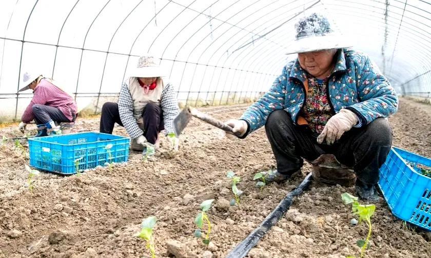 好消息！城乡居民基础养老金再增加20元。本地（坐标江西）基础养老金就达到202.
