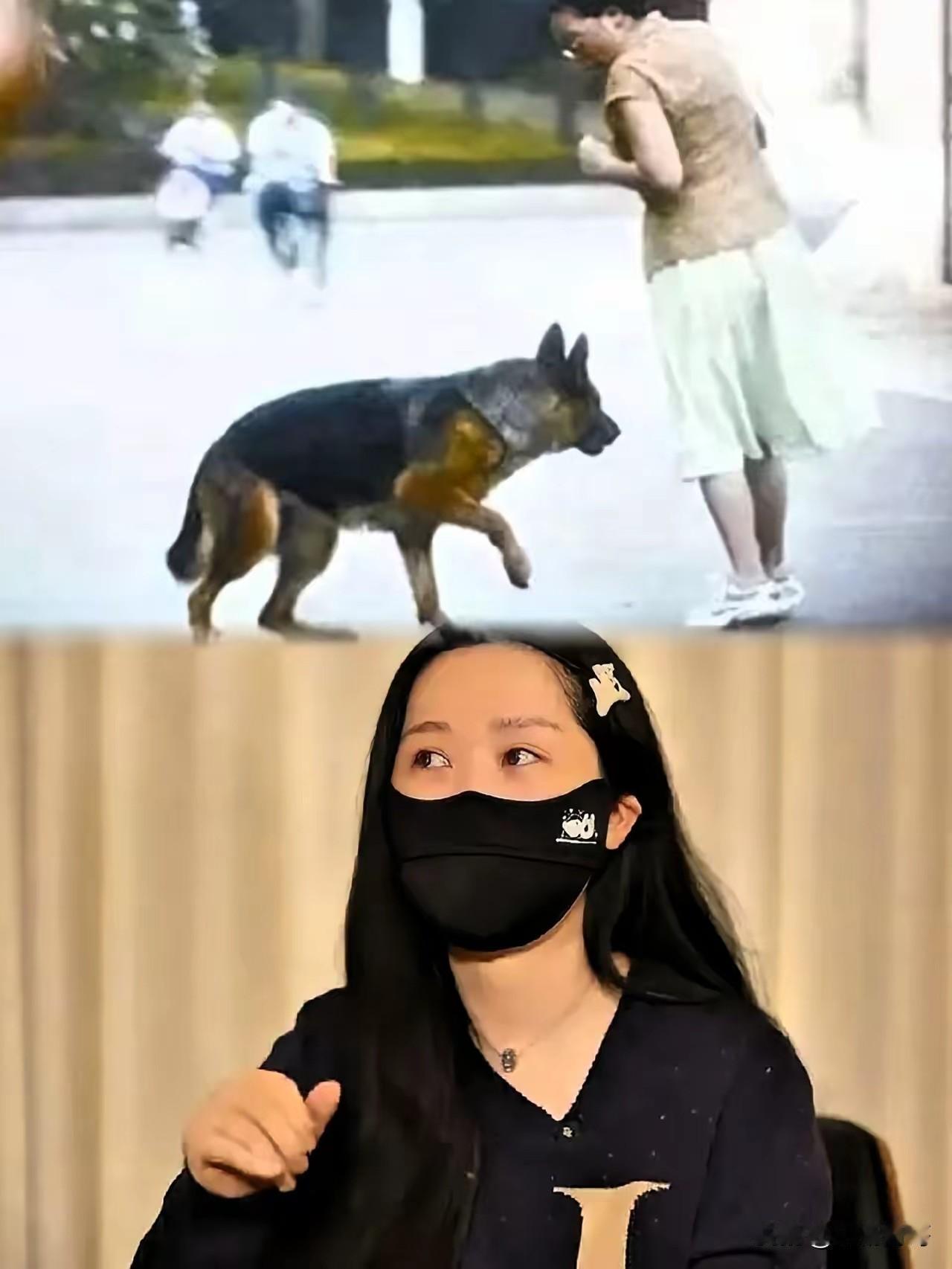 查了一下宠物纠纷背后的经济链，不查不知道，一查真佩服——有人靠“爱狗”年入百万，