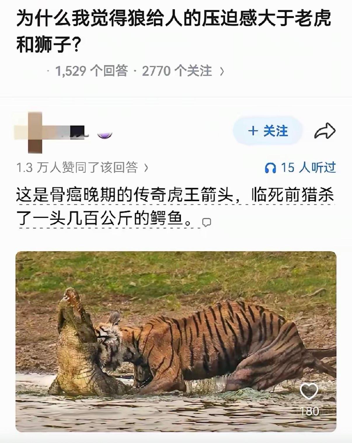 为什么我觉得狼给人的压迫感大于老虎和狮子？