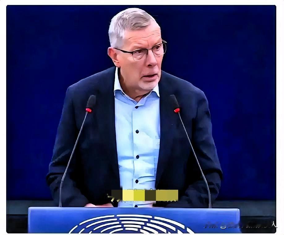 就这么一句话，直接把整个欧洲议会干沉默了。“难道中国，就没有权利像我们一样，捍