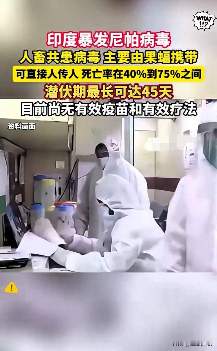 看到印度尼帕病毒的消息，我当即给自己定了几条春节防疫规矩，尼帕病毒致死率高还没特