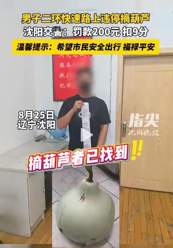 葫芦大闹沈阳！背后的故事太震撼！这个摘葫芦的人很讨厌。破坏价值很高的网红打卡景点