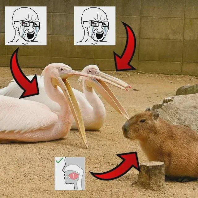 💀​​​