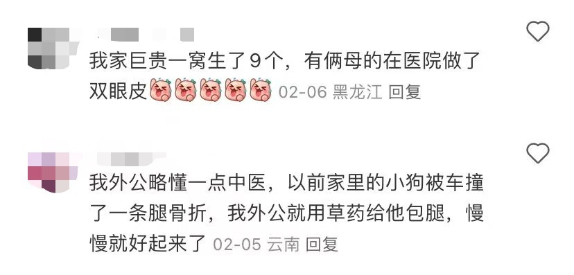 你家宠物得过什么奇怪的毛病