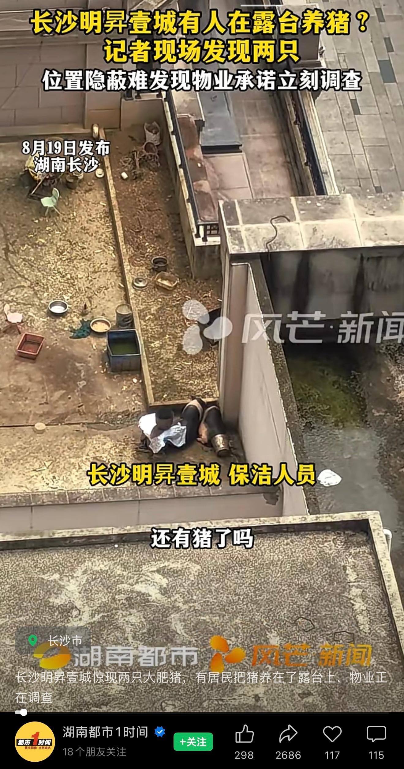 迷惑行为，低楼层会天天闻臭味