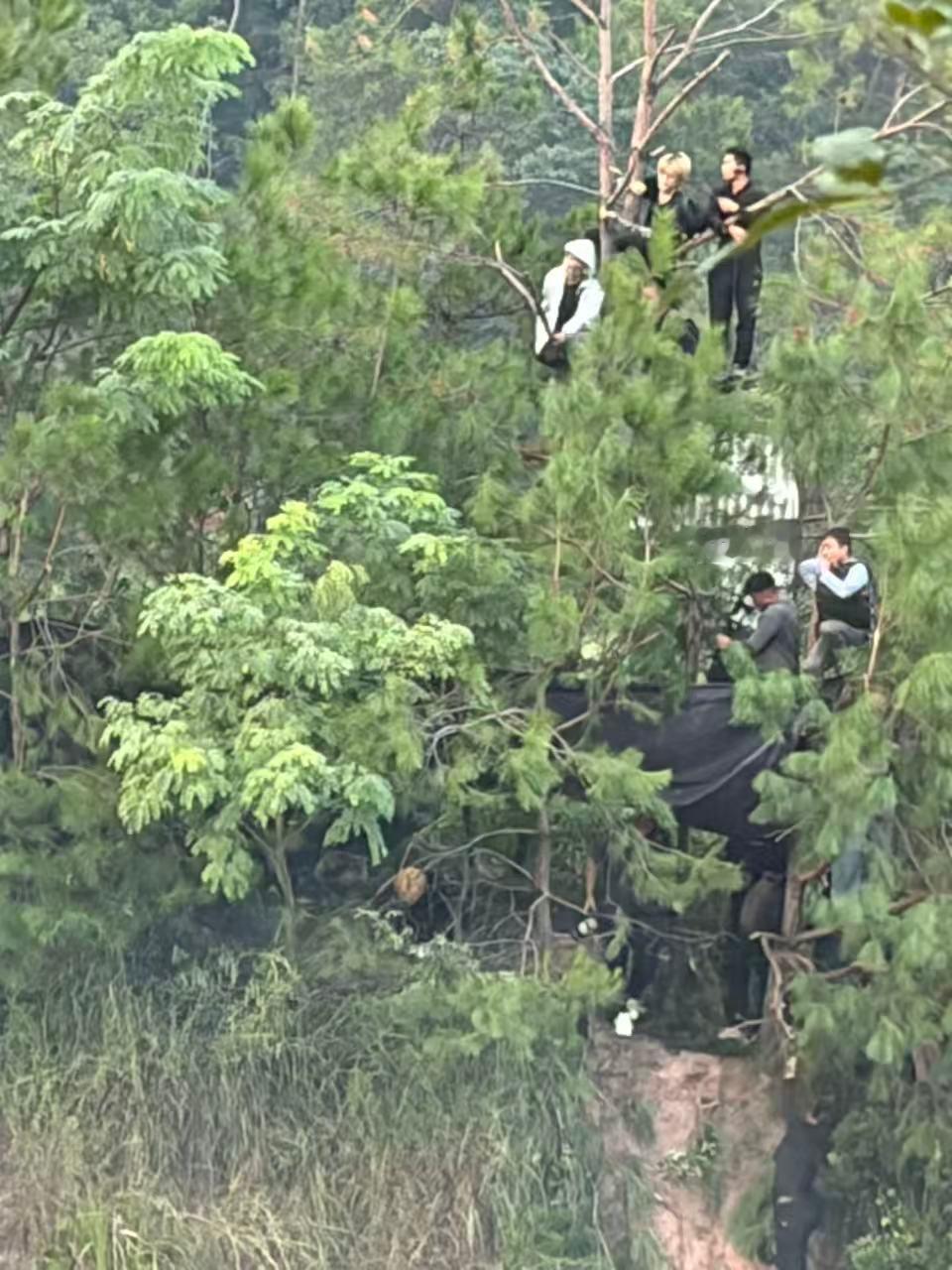 🌲：我承受了所有📷​​​
