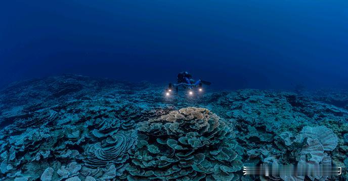 日本这次是真急眼了！1月11号就要冲进6000米深海挖稀土，就为了摆脱咱们的“卡