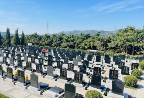 清明节，发现了一个怪现象：家庭越穷，越是没有几个人扫墓，甚至一个人都没有；家庭越