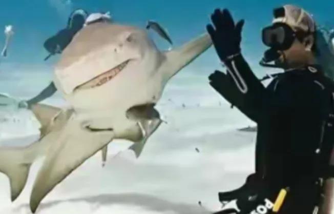 1996年，一位意大利女潜水员在巴哈马海底，帮一条大鲨鱼拔掉嘴里的钢钩，正准备离