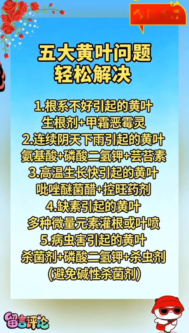 今日推荐：五大黄叶问题轻松解决。·1.根系不好引起的黄叶：生根剂+甲霜恶霉灵。