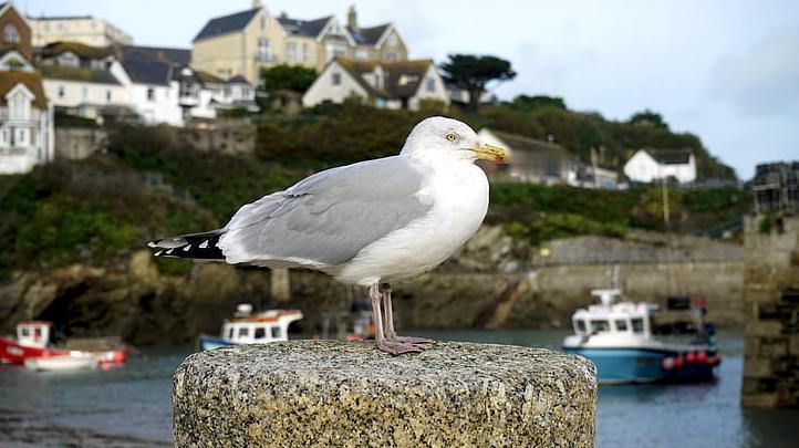 一位佛门高僧说:“不要去管任何人，哪怕是有血缘的亲人。几十年的认知，哪是几句话能