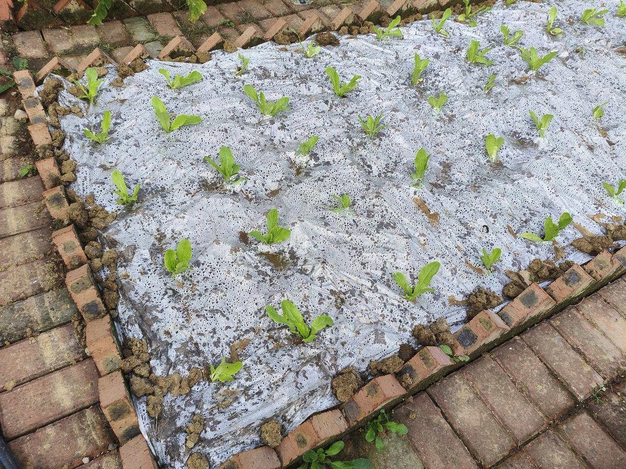 信息爆炸将生活切割成碎片，短视频刷走了耐心，热搜替代了深度思考。我们看似拥有无数