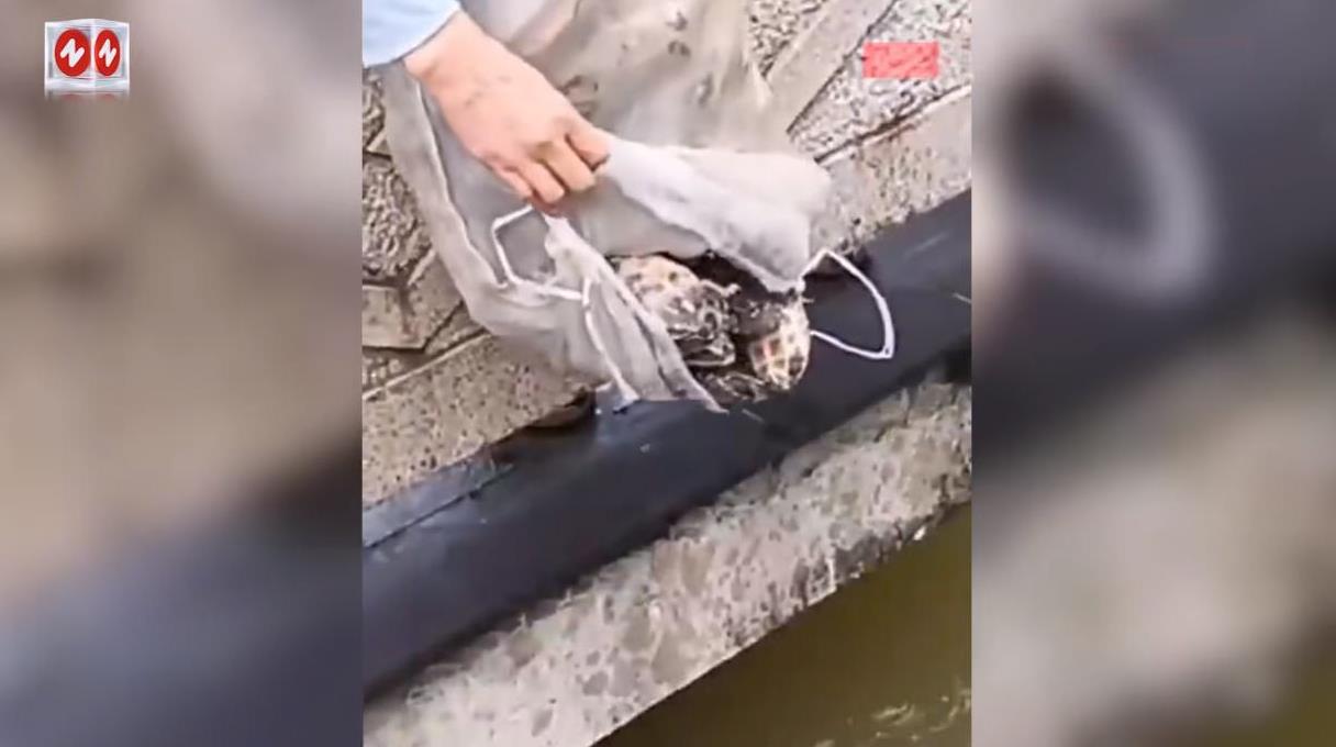 “严查到底！”9月22日，浙江杭州，一女子为了所谓的“行善积德”，竟然在一座寺庙