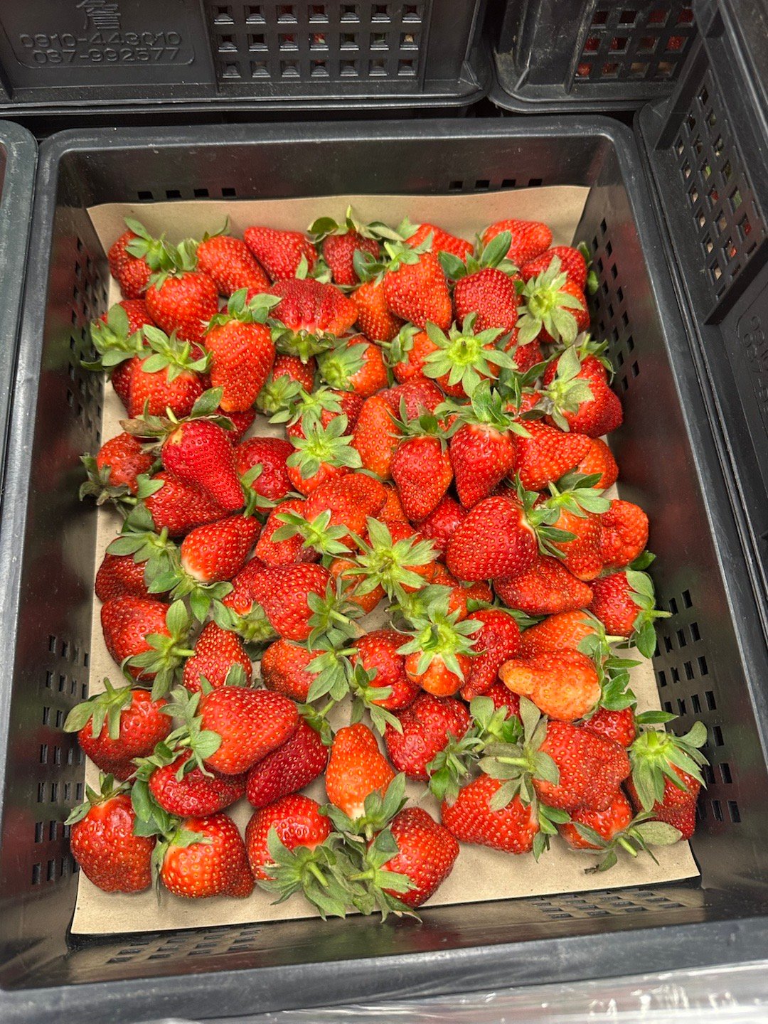 每日一餐分享今年冬天第一次吃這的草莓🍓，冬天就是要吃草莓🍓🍓🍓