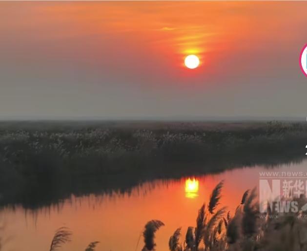 北冥有鱼竟然是真的原来庄子的“逍遥游”所描述的境界，竟然是真实存在的。在每年