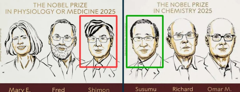 为啥两个都是日本人，一个排第一，一个排第三？诺贝尔奖医学奖的官图中，“坂口志文”