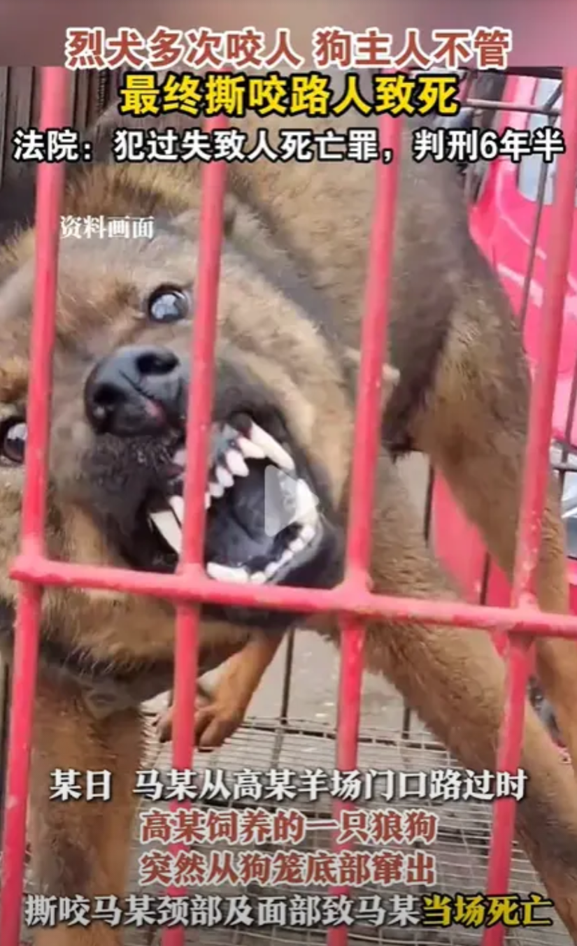 “人是被狗咬死的，又不是被我咬死的，所以我没罪。”自己养的烈犬咬死了人，不但毫无