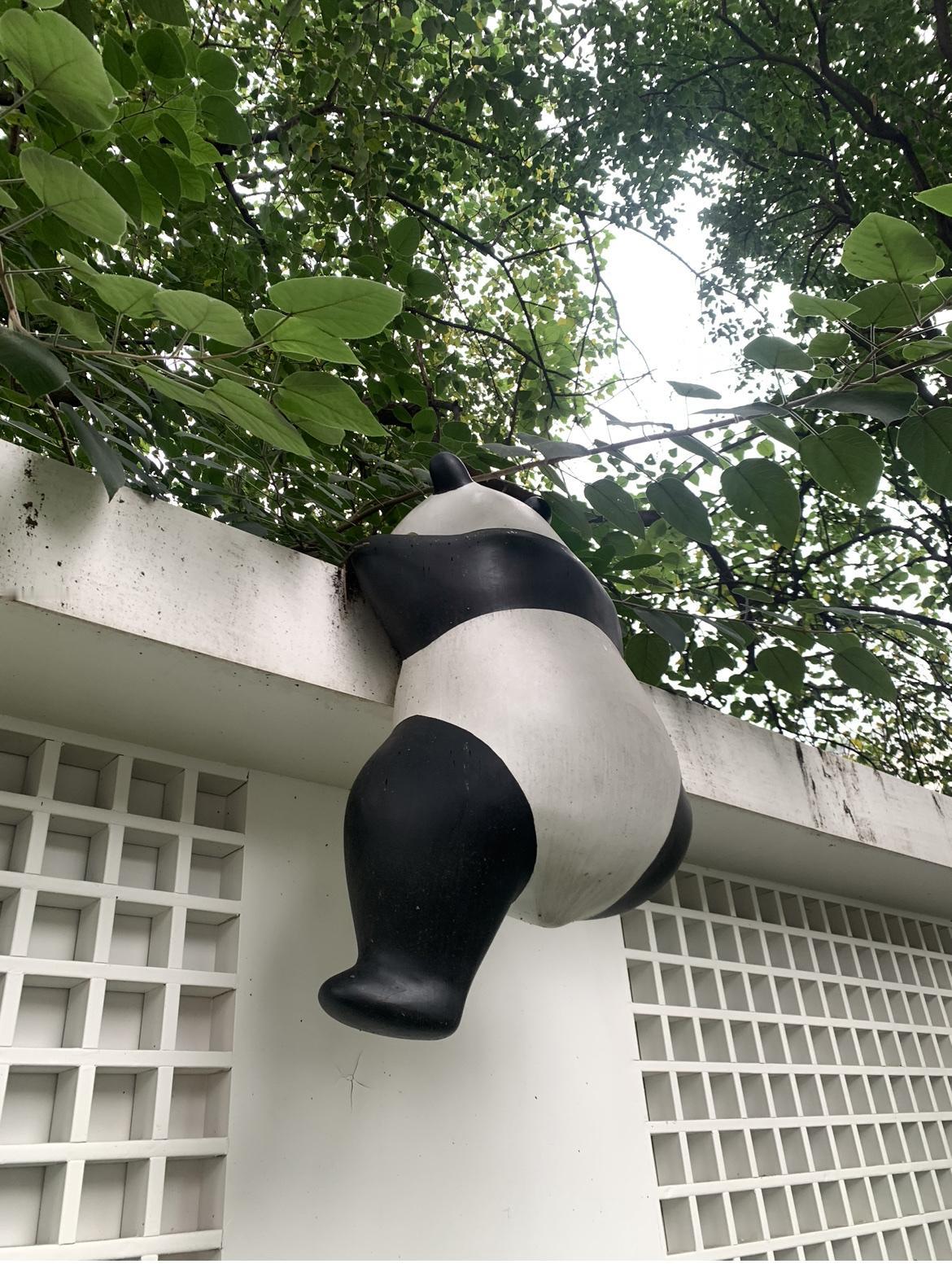 成都4、7、9放秋假了！据路边社消息，成都7中和4中，非高三年级13、14号