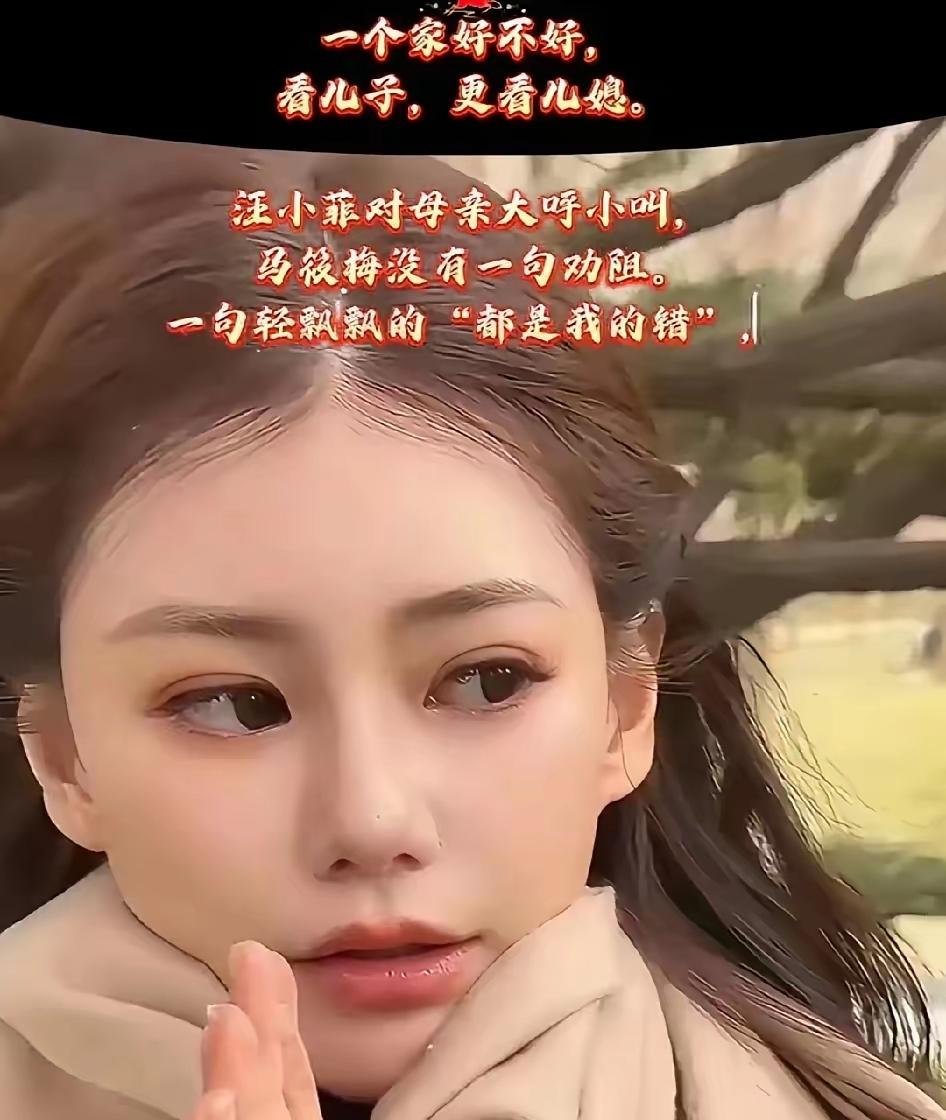 马筱梅真的无辜吗？至今沉默不语，早已说明一切。兰姐离开湾湾时一句我就是客人，