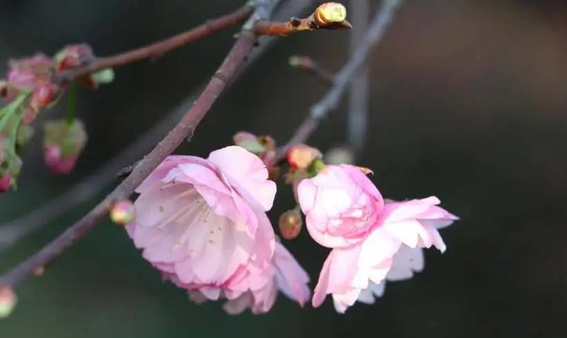 本周过后，这三大星座运势如虹，财神驾到，财运滚滚，有望赚大钱本周过后，这三大星