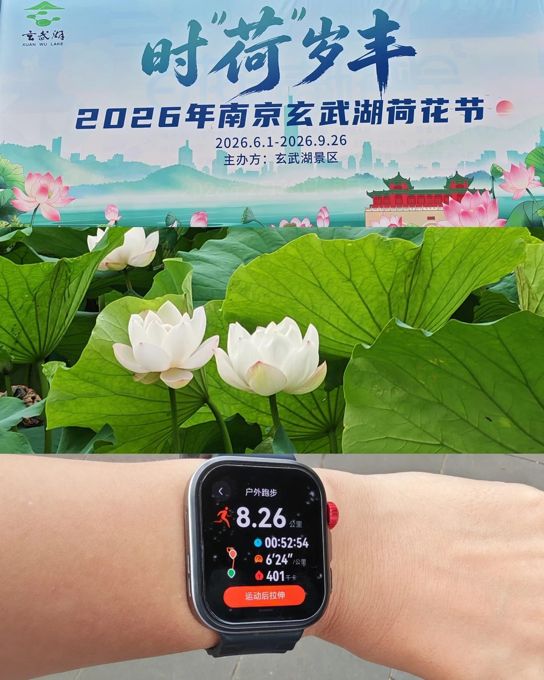 玄武湖永远最美