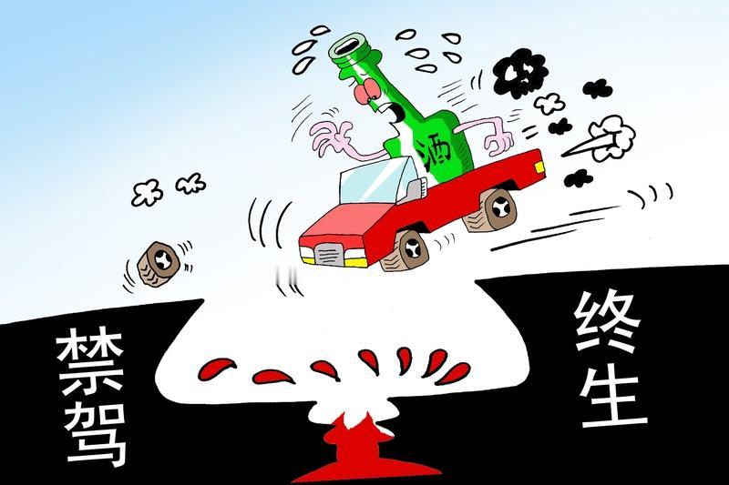 📸违法曝光︱11月大理2人被终身禁驾2025年11月，大理州公安局交通管理支