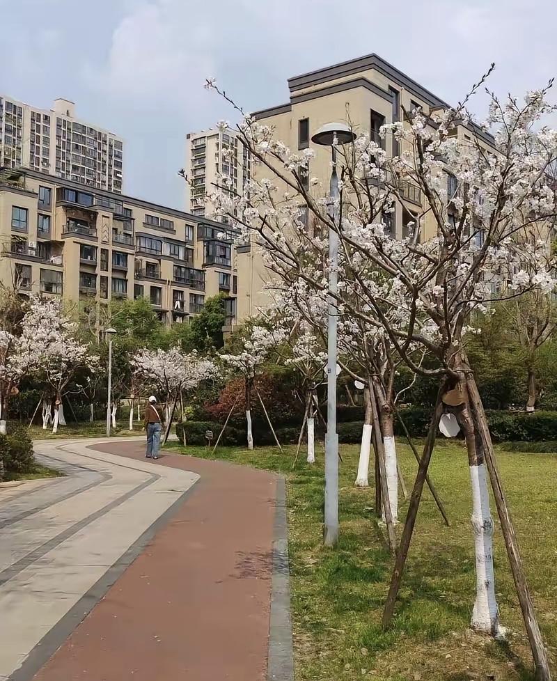 我养大的继子考入公务员那天，他亲妈到单位吵着要认亲，我没拦，儿子却说要回归亲生家