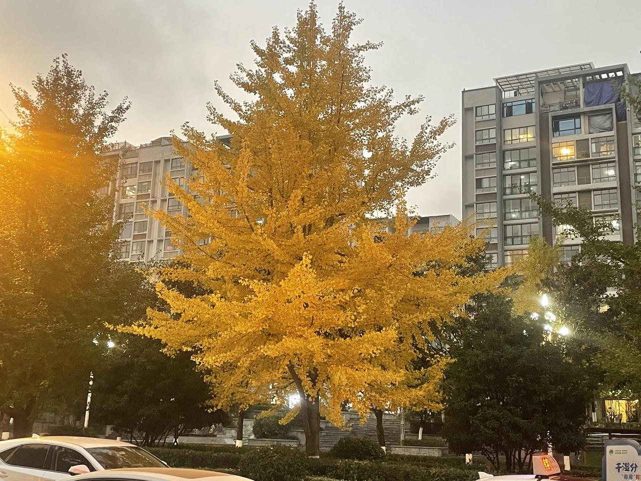 不按时交房租怎么办我有个租客，属于很圆滑的那种性格。平时说话虚