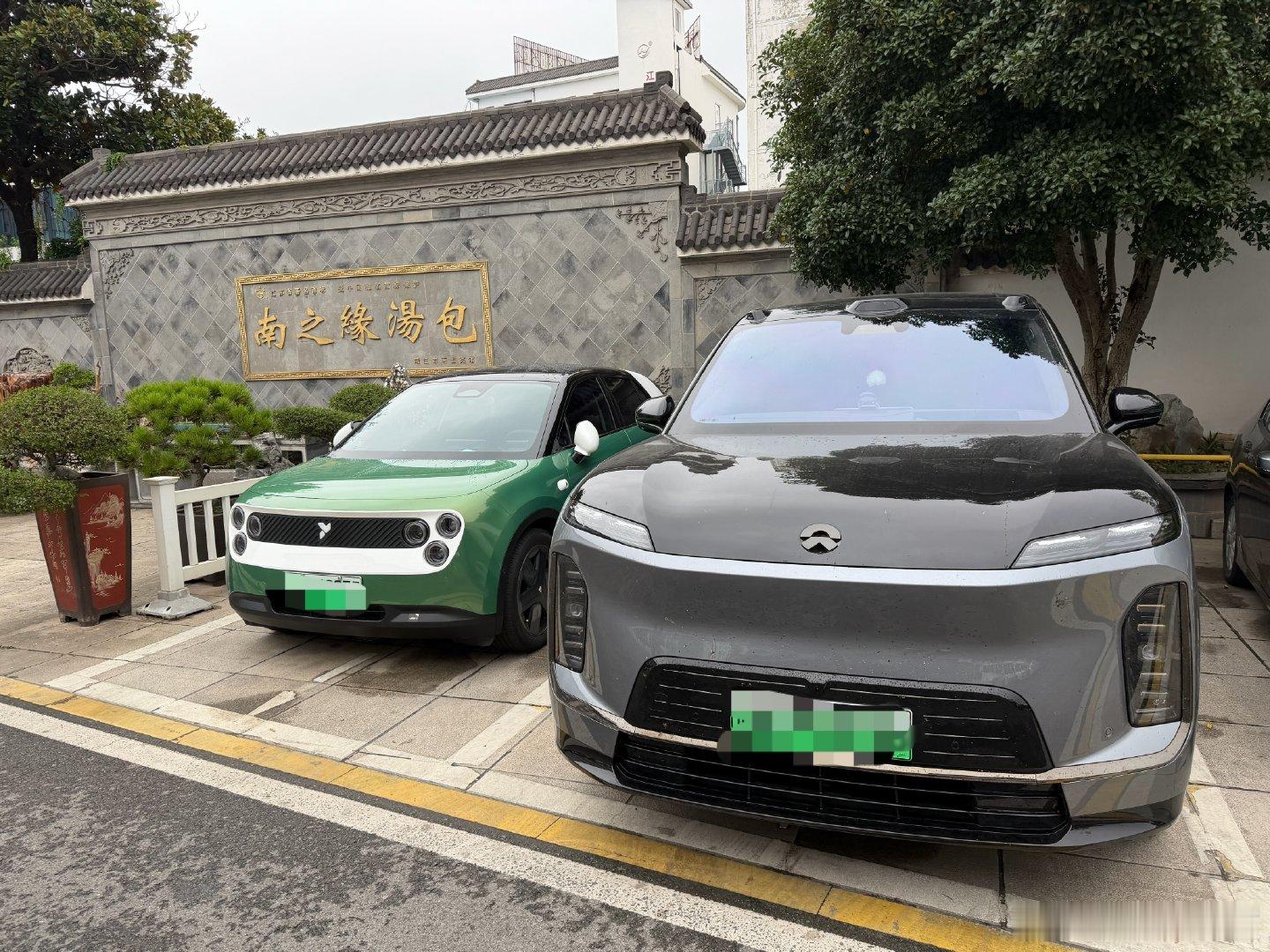 一大一小刚刚好#蔚来es9#​
