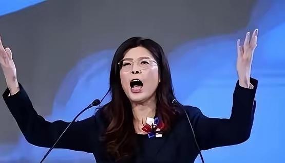 台湾蓝营终于摊牌了！郑丽文公开拒绝“一国两制”，不再模糊回避。这记重拳打向何方？