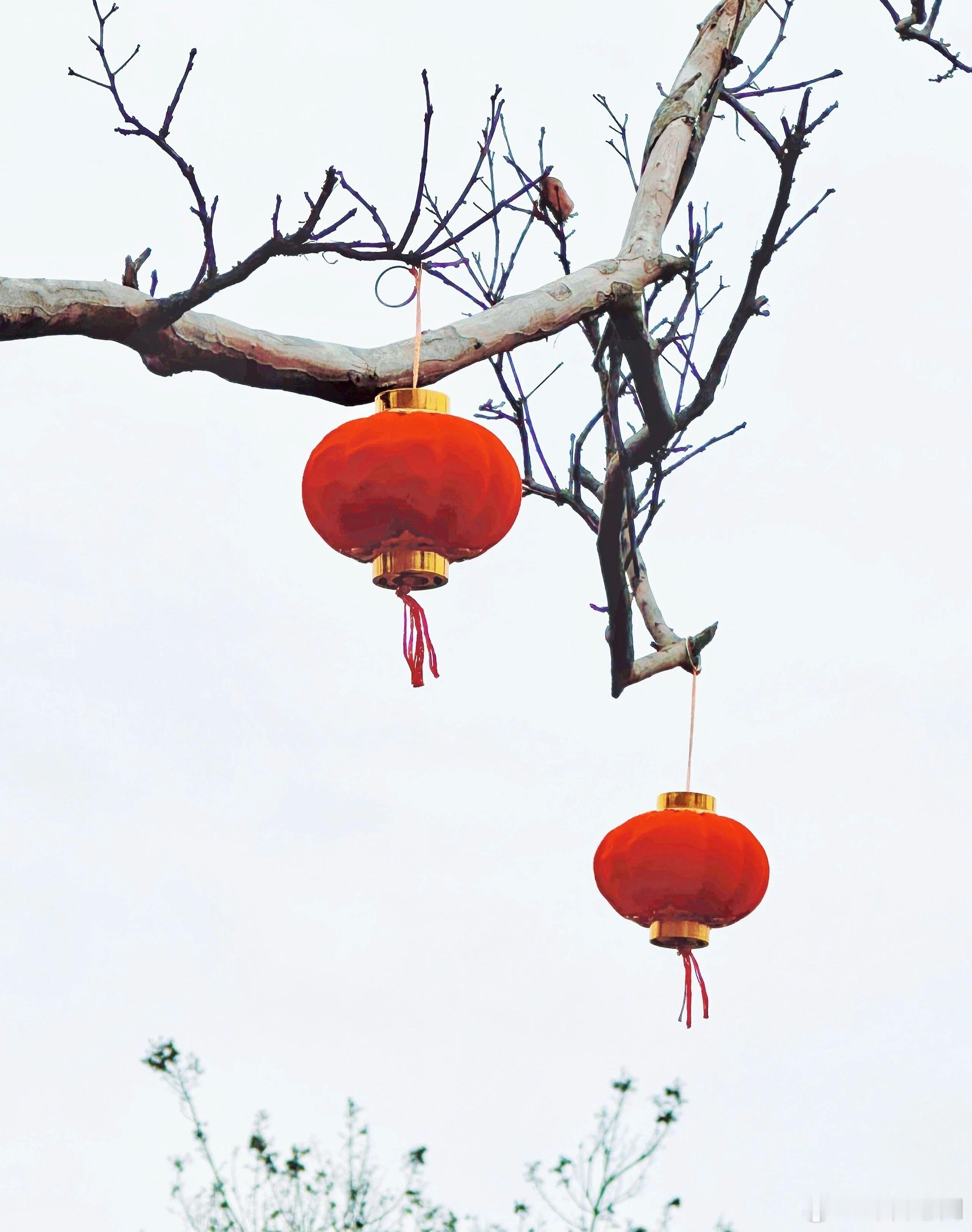 什么是情商？1、情商就是：吃饭前，先夸一下做饭的人。对于自己没出力就享福的事情，