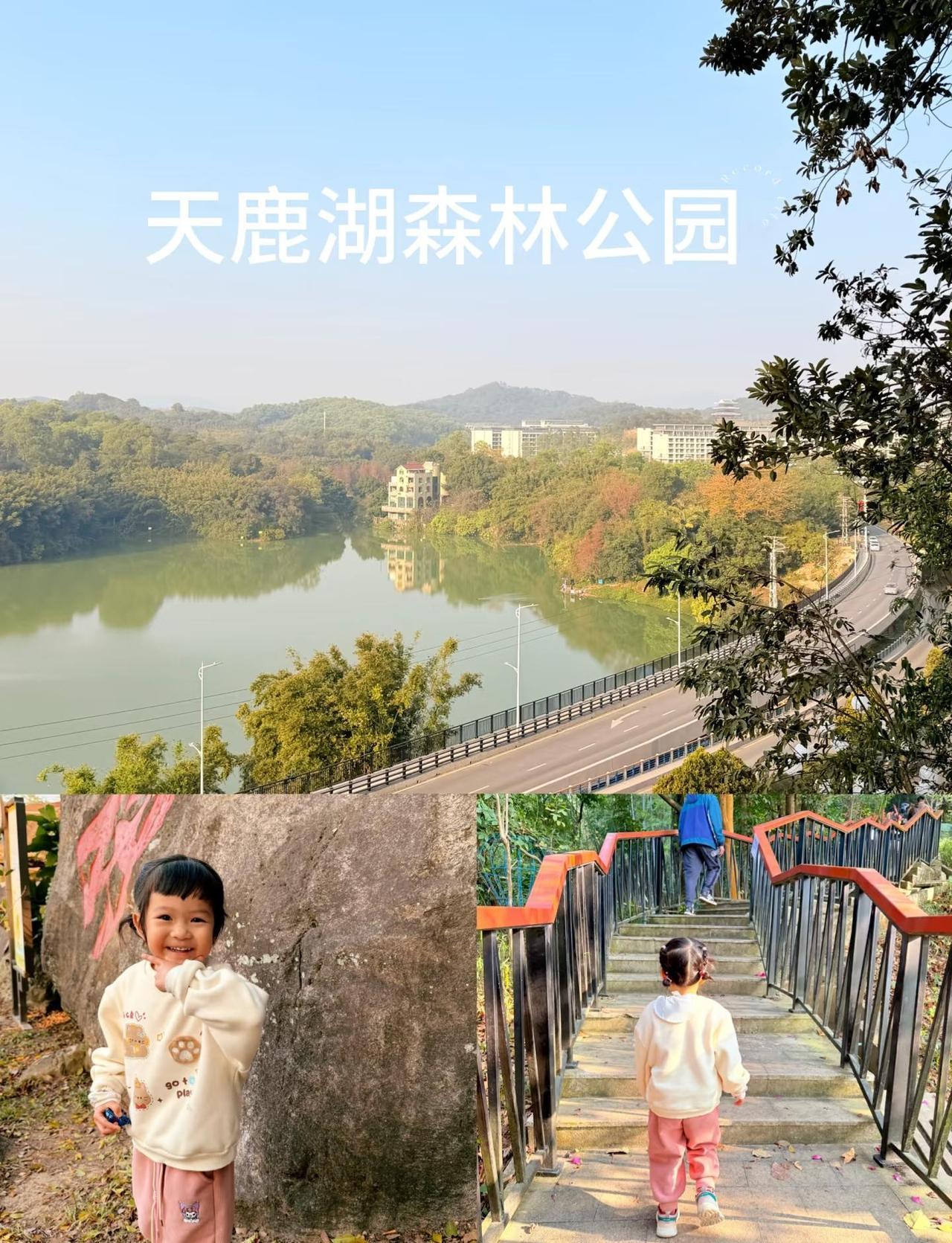 广州周边游｜天鹿湖1小时徒步路线+治愈粤菜姐妹们！刚从天鹿湖森林公园回来，公园